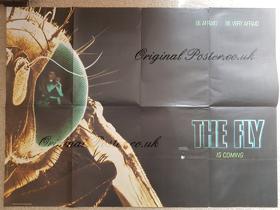 The Fly