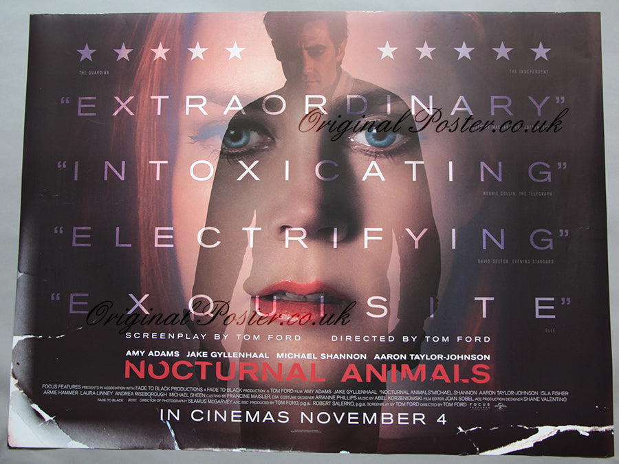 Nocturnal Animals