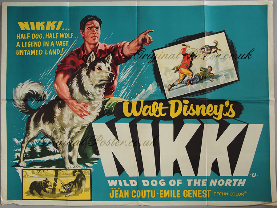 Nikki, Wild Dog of the North