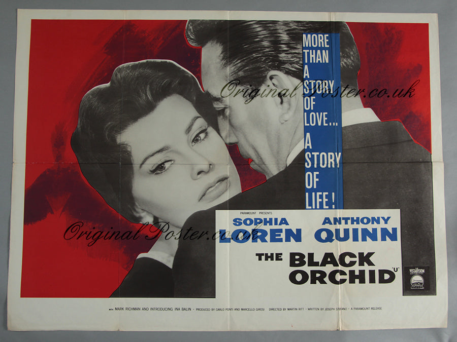 The Black Orchid