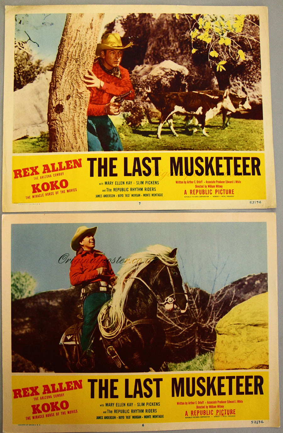 Last Musketeer