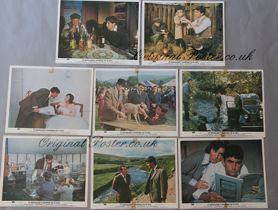 It Shouldn't Happen to a Vet