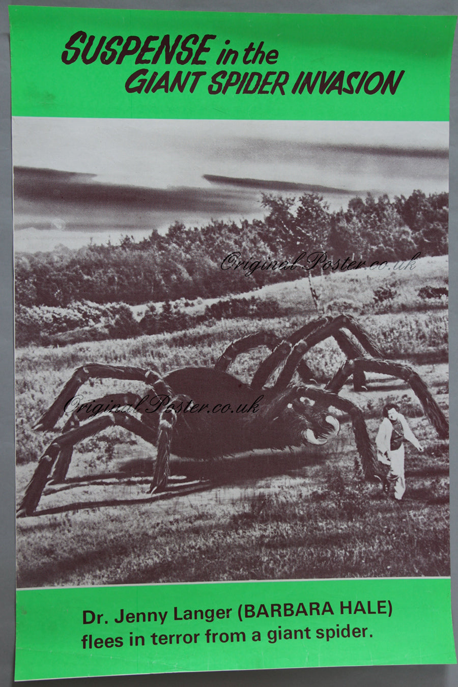 Giant Spider Invasion