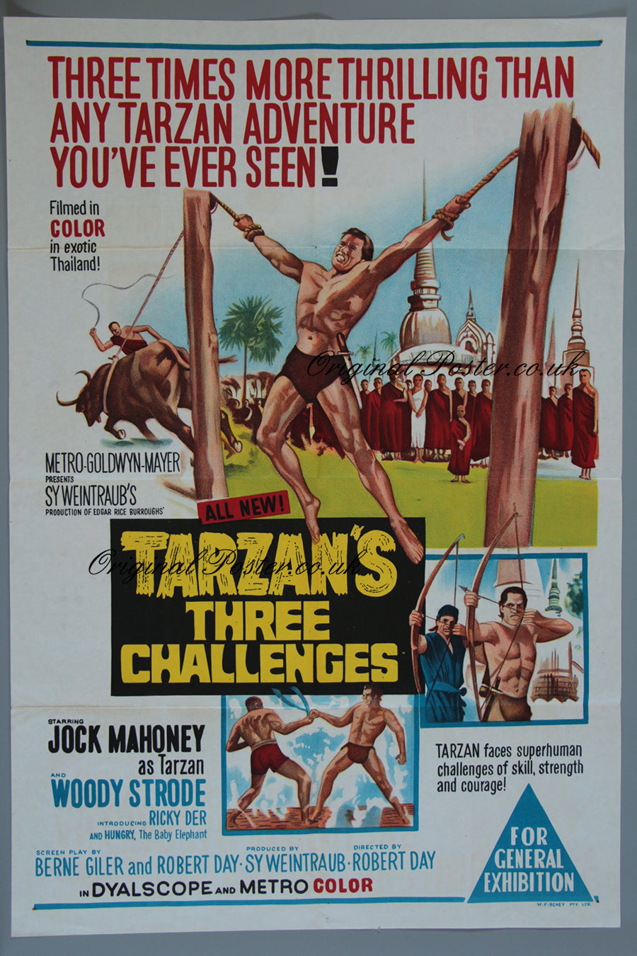 Tarzan's Three Challenges