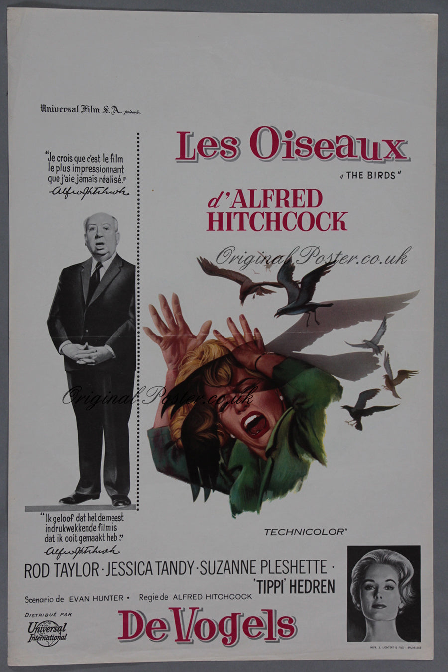 The Birds / De Vogels / Les Oiseaux