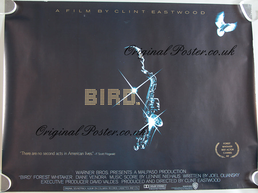 Bird
