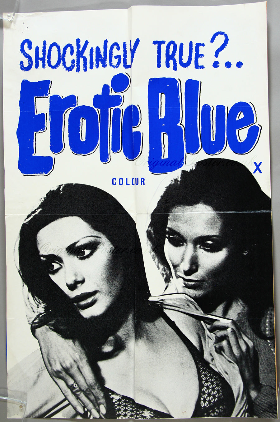 The Case of the Bloody Iris / Erotic Blue