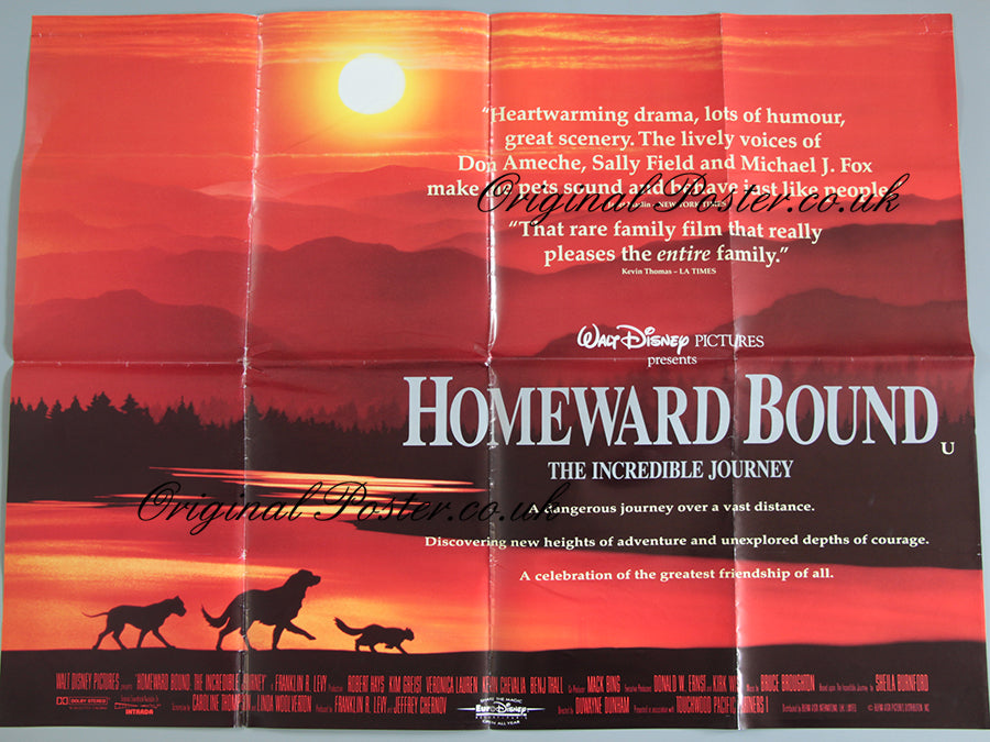 Homeward Bound