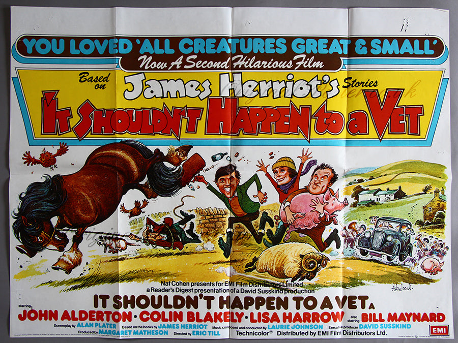 It Shouldn't Happen to a Vet