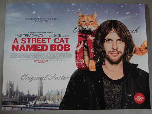 A Street Cat Named Bob