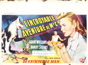 The Incredible Shrinking Man