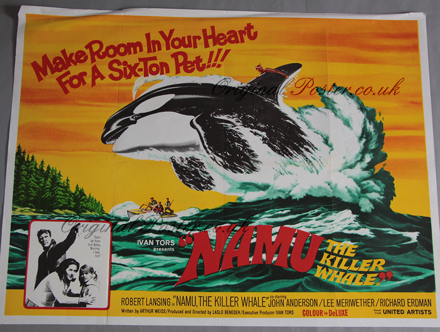 Namu the Killer Whale