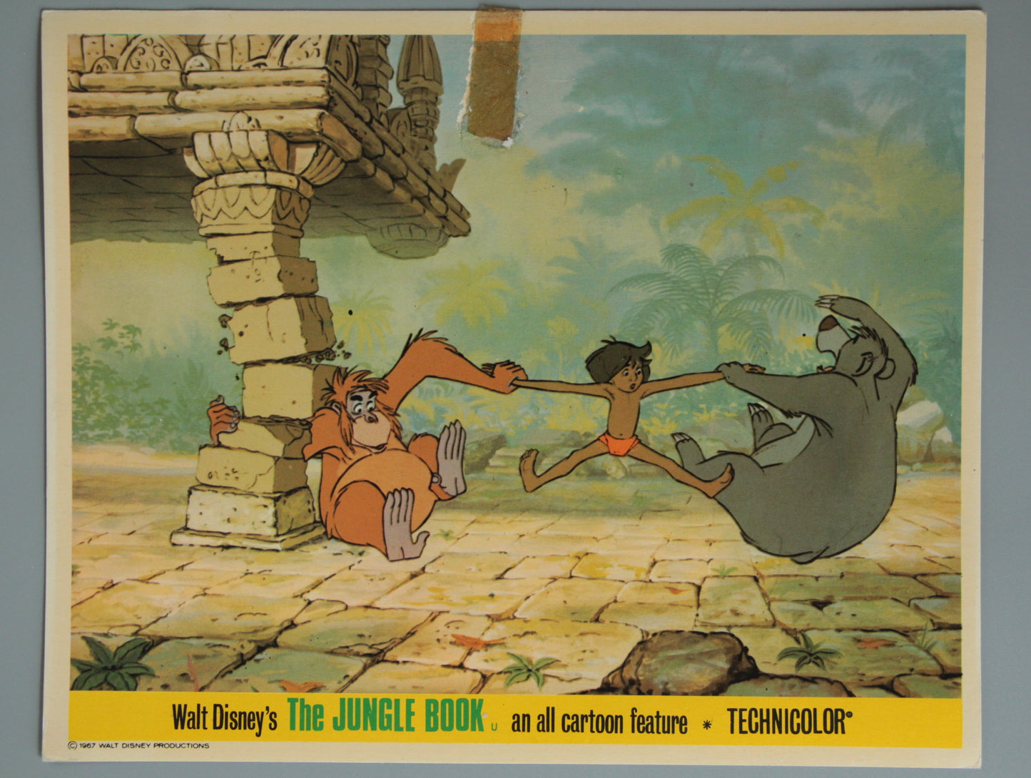 The Jungle Book