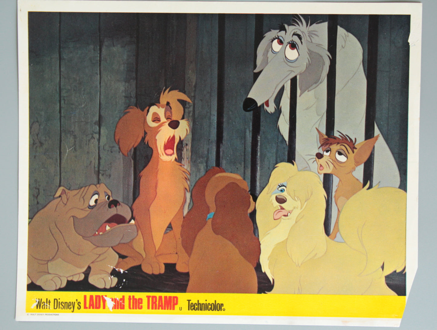 Lady and the Tramp