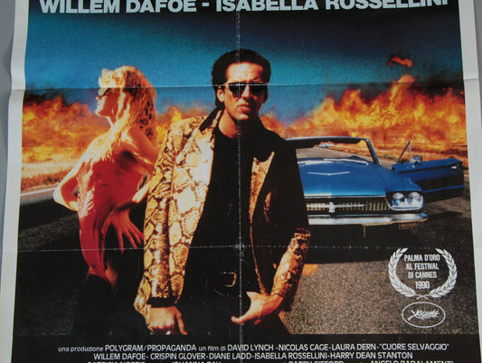 Wild At Heart