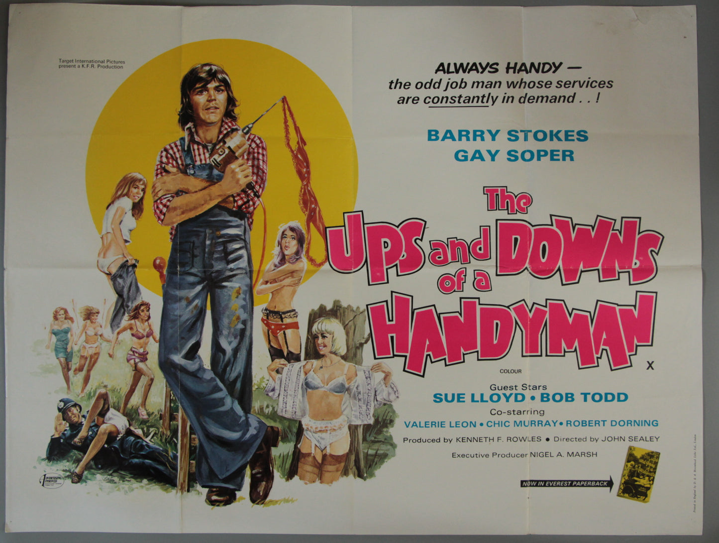 Ups and Downs of a Handyman