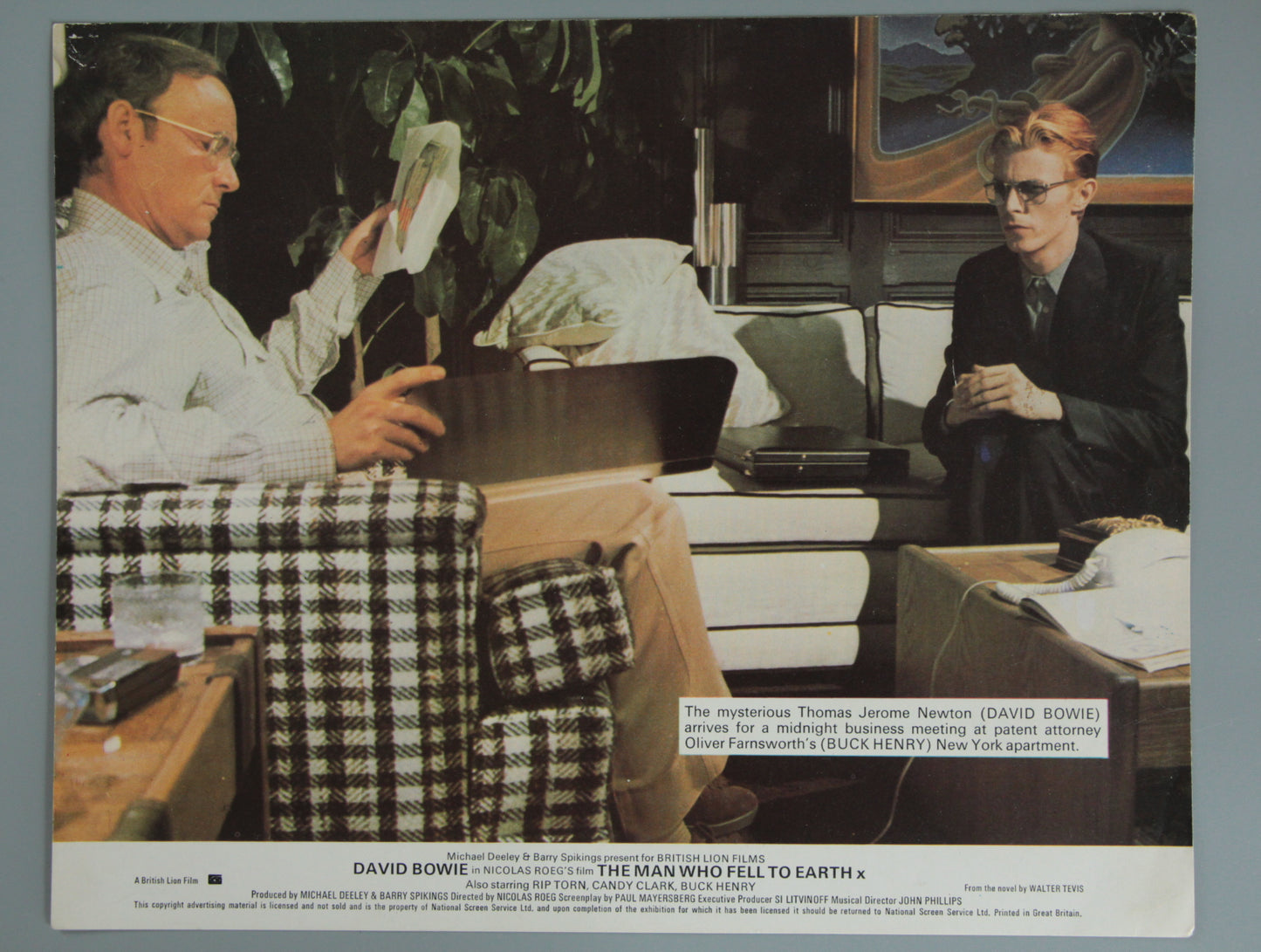 The Man Who Fell to Earth