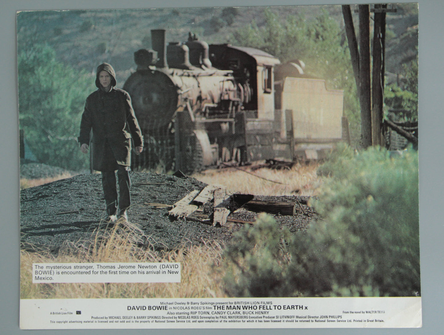 The Man Who Fell to Earth