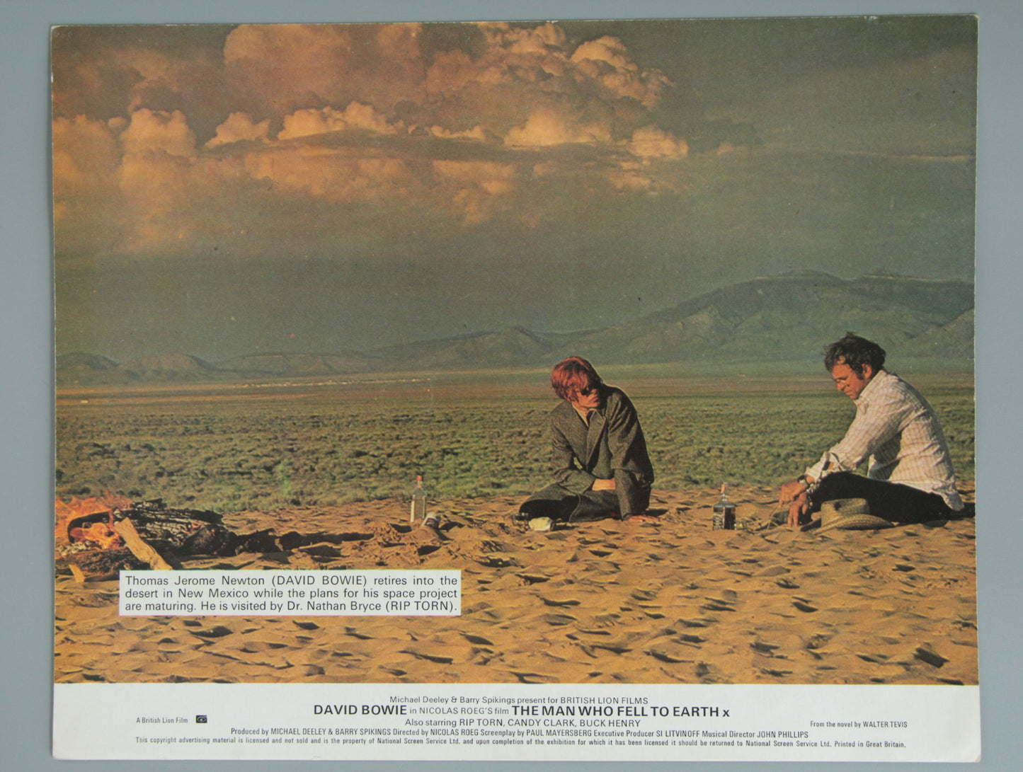 The Man Who Fell to Earth
