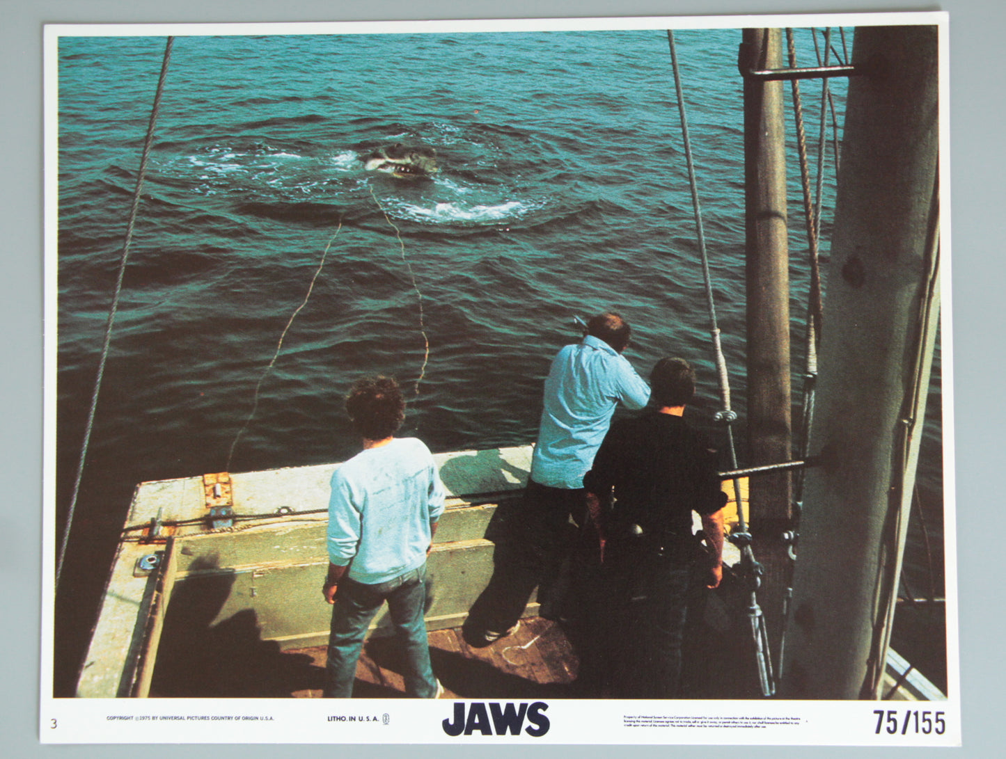 Jaws
