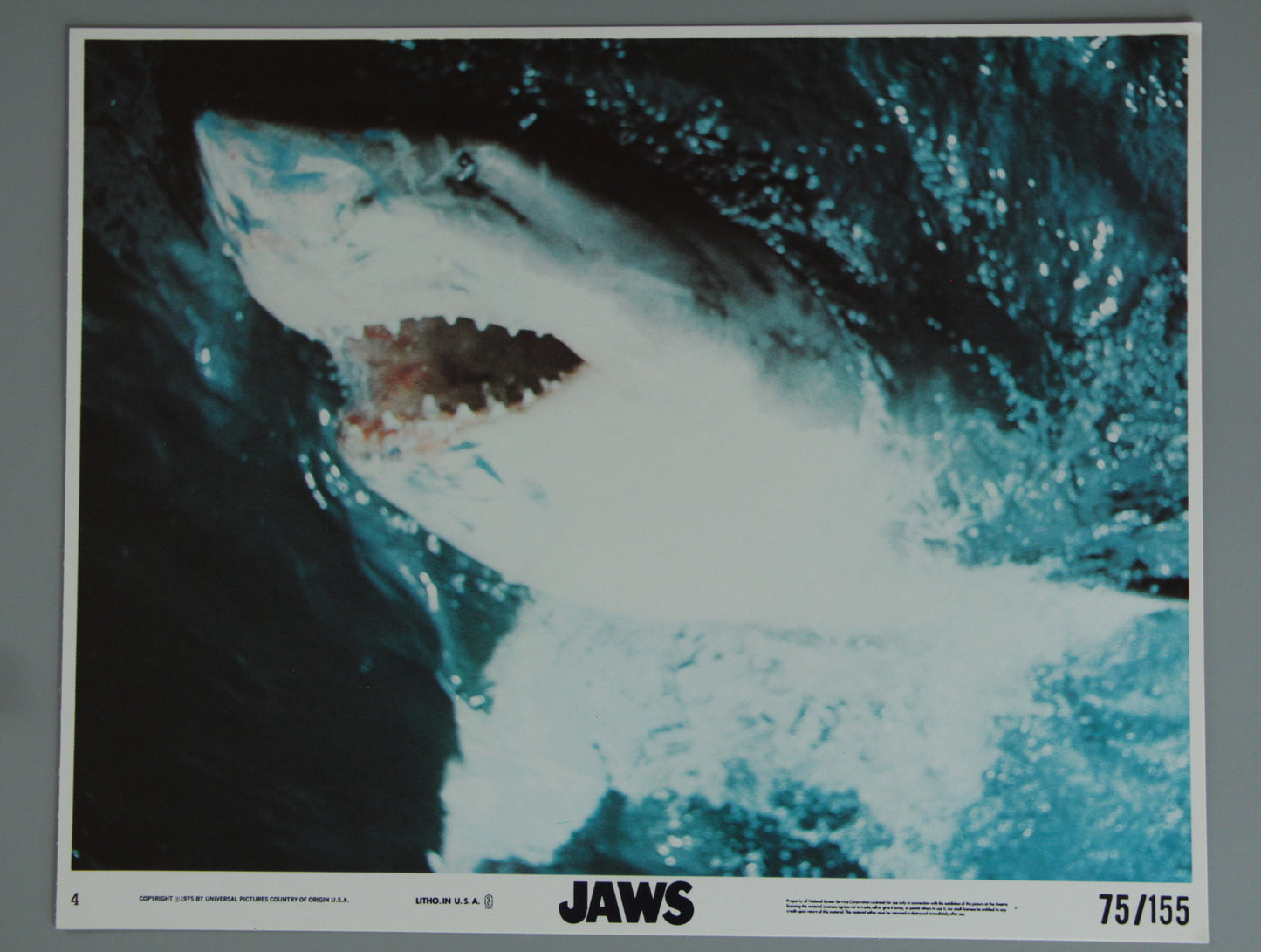 Jaws