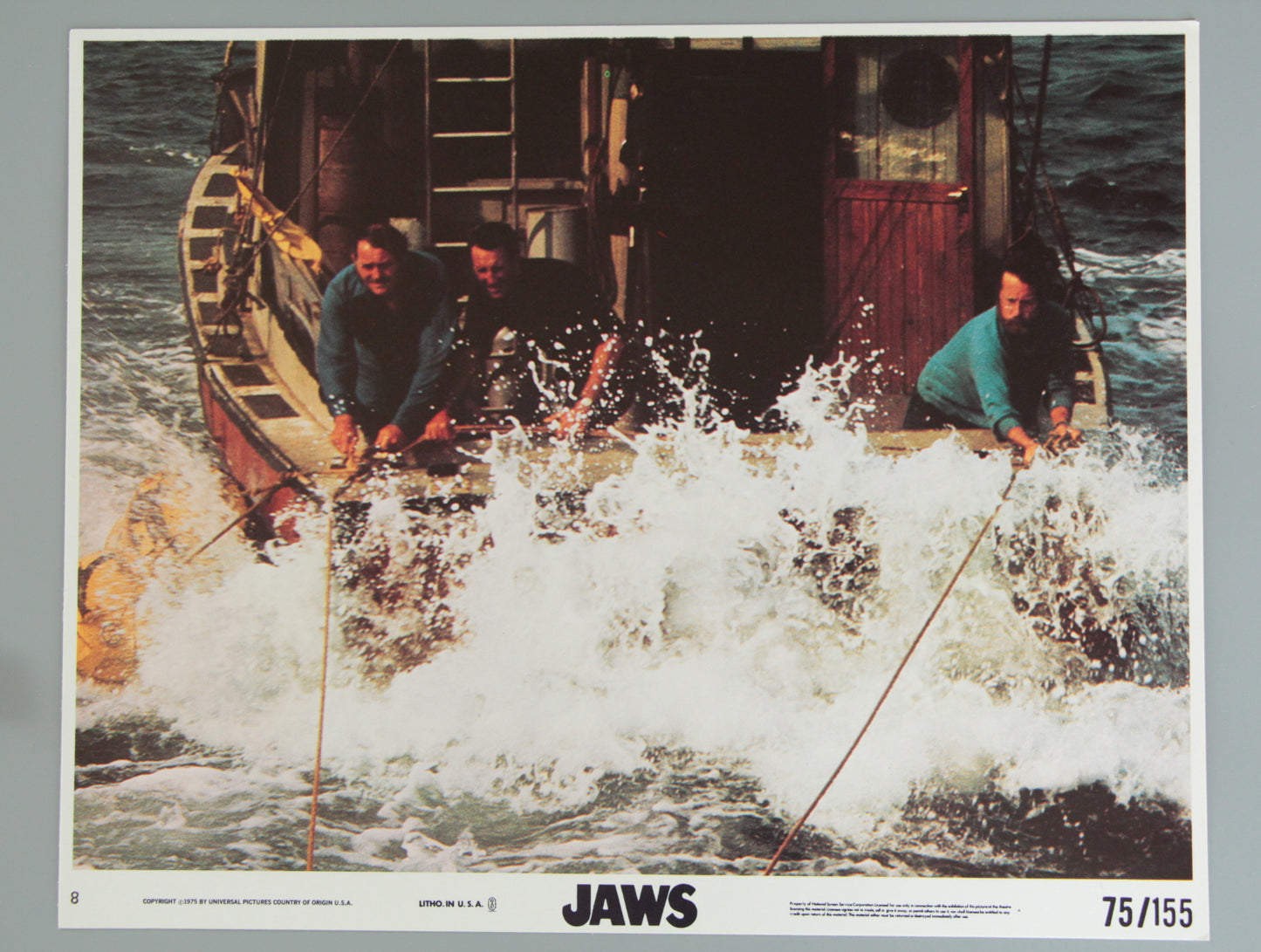 Jaws