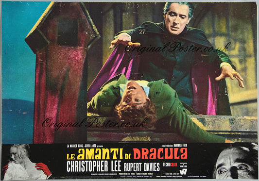 Dracula Has Risen from the Grave