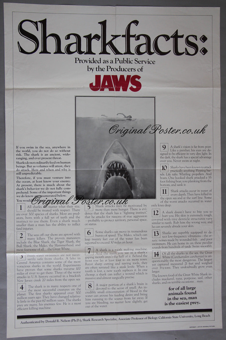 Jaws