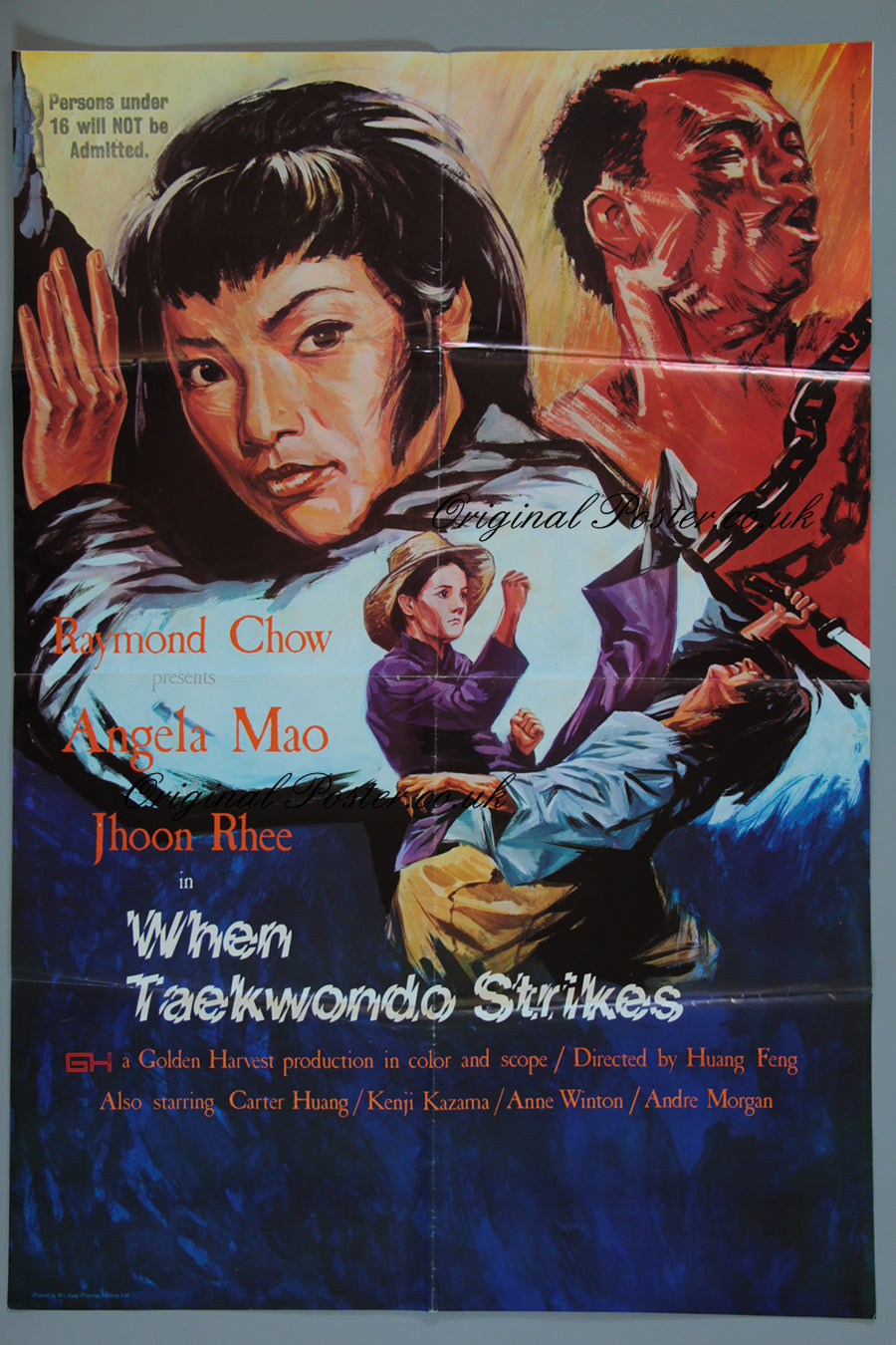 When Taekwondo Strikes