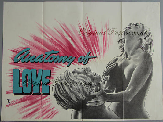 Anatomy of Love