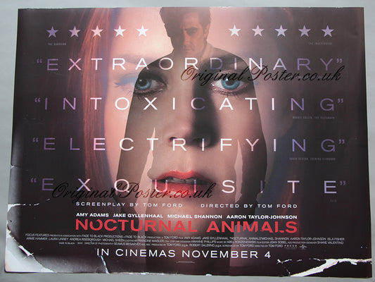 Nocturnal Animals
