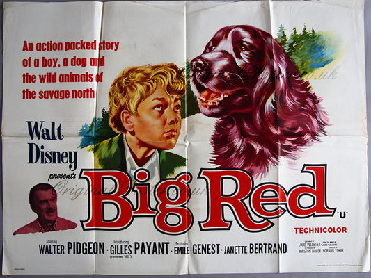 Big Red