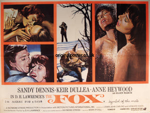The Fox