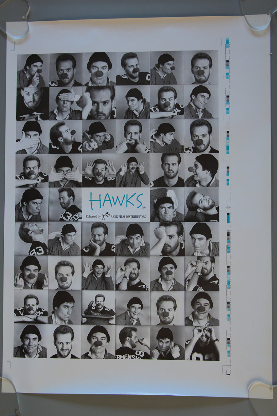 Hawks