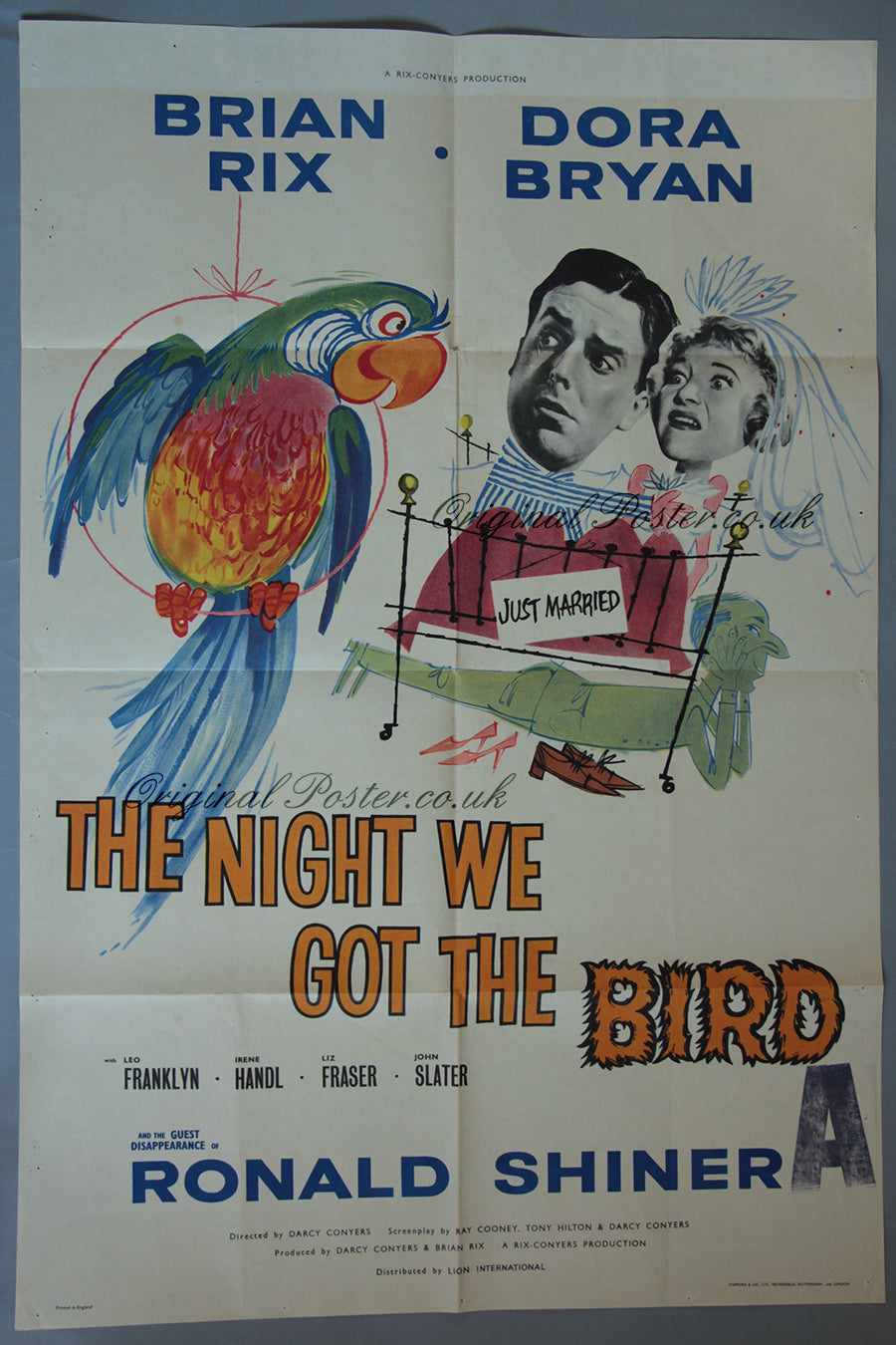 The Night We Got the Bird