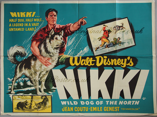 Nikki, Wild Dog of the North