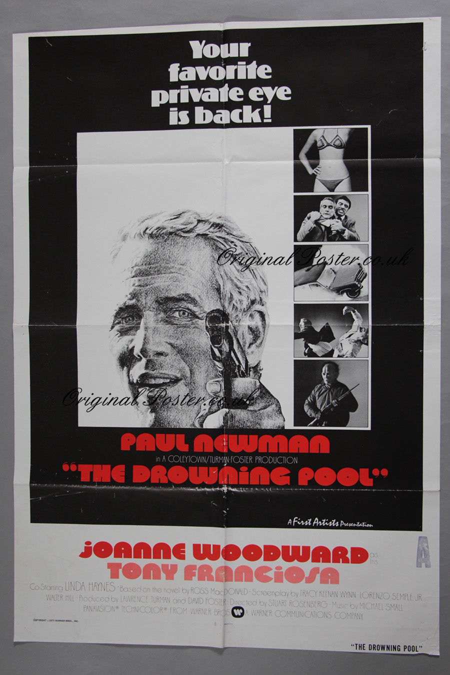 The Drowning Pool