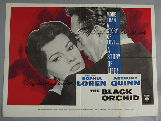 The Black Orchid