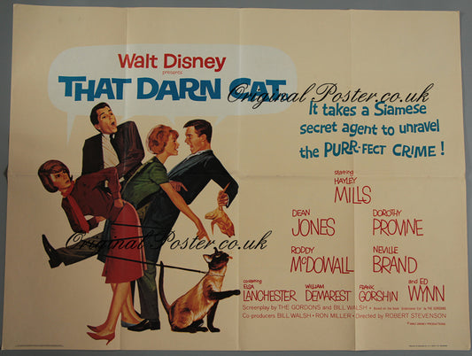 That Darn Cat!