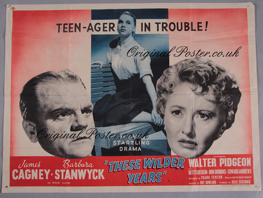 These Wilder Years