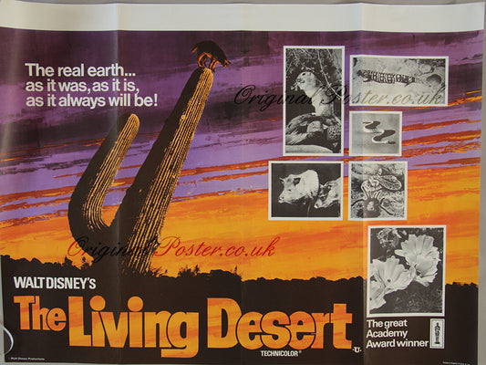The Living Desert
