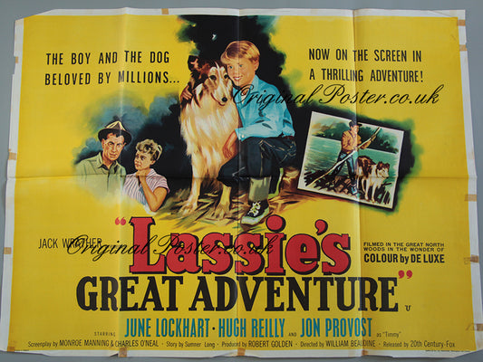 Lassie's Great Adventure