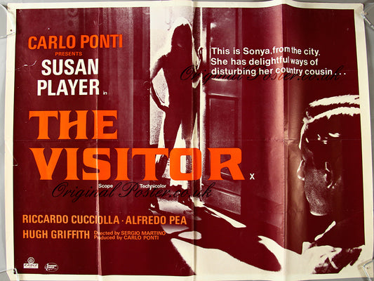 The Visitor