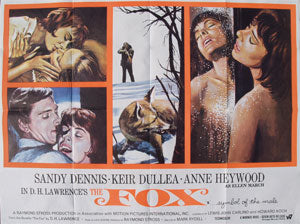 The Fox