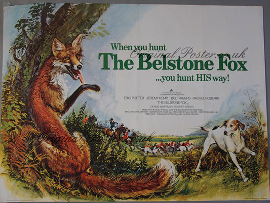 The Belstone Fox