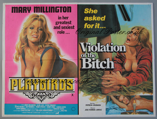 Playbirds / The Violation of the Bitch