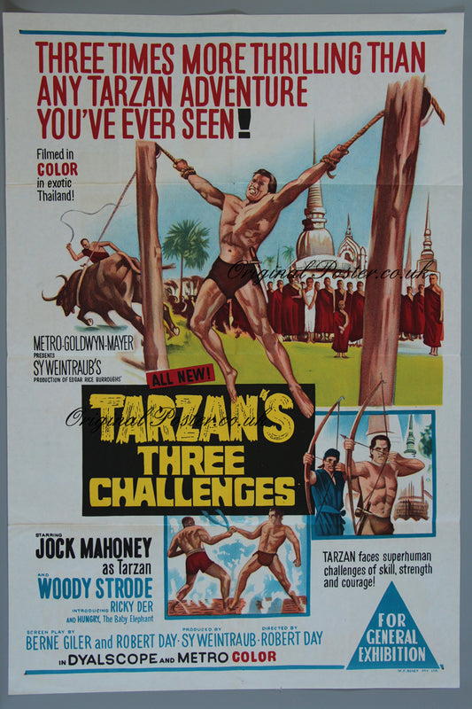 Tarzan's Three Challenges