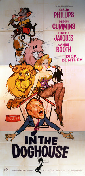 In the Doghouse