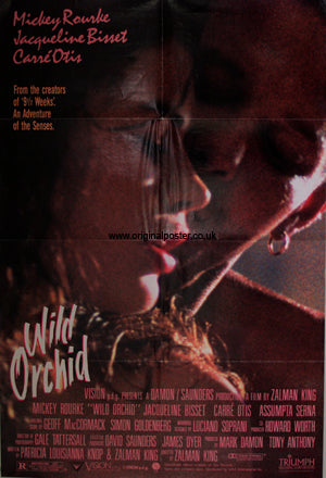 Wild Orchid