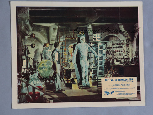 The Evil of Frankenstein